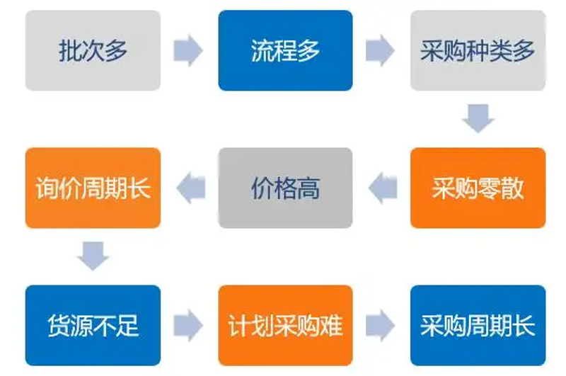 访谈记录:北京绿也与广东绿也的生态共舞